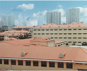 合成樹(shù)脂瓦